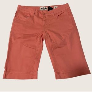 🌷JZ Premium Shorts/ Bermudas